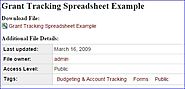 Grant Tracking Spreadsheet Example | InsideDFMCH