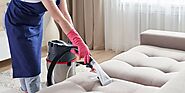 Upholstery Cleaning Service in Edgewater