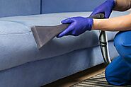 Upholstery Cleaning Service in Champion Lakes