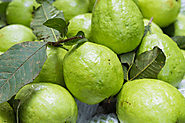 Health Benefits of Guava, Fruit & Leaves: 3medsindia — LiveJournal
