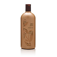 Best Shampoo for Frizzy Hair - Sleek and Smooth - Bain de Terre | Salon Support