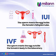 IVF VS IUI