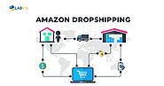 Amazon Dropshipping: What is it & How does it Work? (2022) - Lab 916