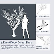 8ft Tall Grand Manzanita Tree for Wedding and Party Decoration - Vintage Wedding Decoration