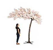 Size: Height: 11 feet Width: 7 feet Weight: 74lbs Number of Interchangeable Branches: 25 Main Base Plate (connected t...