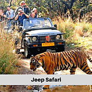 Jeep Safari Booking Ranthambore National Park - Book Now