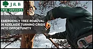 Emergency Tree Removal in Adelaide - J&B Tree Services