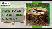 How to Get Rid of Tree Stumps?