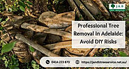 Professional Tree Removal in Adelaide: Avoid DIY Risks