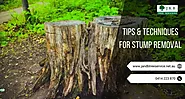 Tips & Techniques for Stump Removal