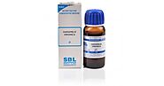 SBL Hamamelis Virginica 1X (Q) Mother Tincture (30ml) : For pains after operations, Enlarged veins, Piles, scrotal sw...