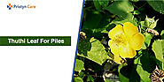 Thuthi Leaf for Piles - Ways to use and its Benefits