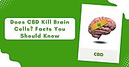 Does CBD Kill Brain Cells? Facts You Should Know