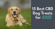 Best 15 CBD Treats for Dog Joint Pain, Anxiety & More - Dog Endorsed