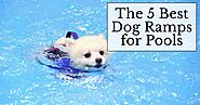 Top 5 Best Pool Steps or Stairs For Dogs - Dog Endorsed