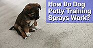 How Do Dog Potty Training Sprays Work? - Dog Endorsed
