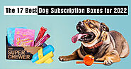 Find Out Which Subscription Box Is Best for Dogs - Dog Endorsed