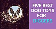 Want to Know the 5 Best Burrowing Toys for Dogs? - Dog Endorsed