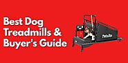 The Buyer’s Guide to the 10 Best Dog Treadmills - Dog Endorsed