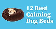 Top Picks For Calming Dog Beds that Can Help Your Dog Relieve Stress And Anxiety - Dog Endorsed