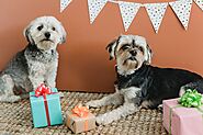 10 PAWfect Dog Dad Gifts Ideas