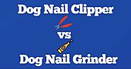 Dog Nail Clipper vs Grinder: Which is Better? - Dog Endorsed