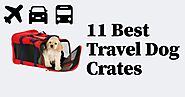 11 Best Travel Dog Crates: Check Out My Top Picks