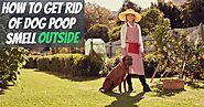 How to Get Rid of Dog Poop Smell Outside (Treatment and Prevention)