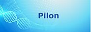 Pilon | Side Effects | Dosage | Precautions | Medicine