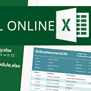 Excel Online Surveys | Blog Zelfstudie.be