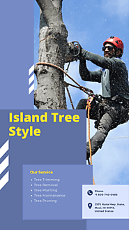 Get the Best Tree Pruning Service in Maui | Island Tree Style