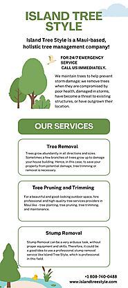 Maui Tree Removal and Tree Planting Service | Island Tree Style