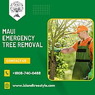 Safeguards for Properties - Maui Emergency Tree Removal