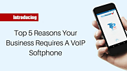 Top 5 Reasons Your Business Requires A VoIP Softphone