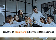 Importance of Teamwork in Software Development