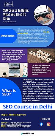 SEO Course In Delhi: What You Need To Know | Piktochart Visual Editor