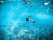 Fun Diving and Snorkeling