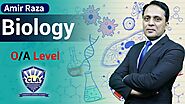 Cambridge Learning Academy - Best O/A Level Academy in Lahore