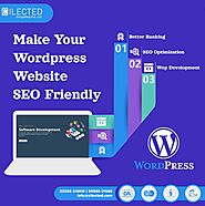 Wordpress Development Service | Cilected