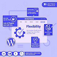 wordpress mobile app development | Cilected