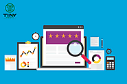 Audit website