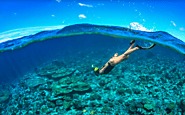 Snorkelling