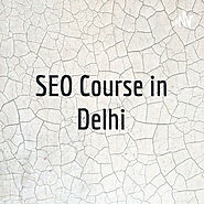 Learn Advanced SEO Course In Delhi - Digital Marketing Profs - Anchor