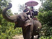 Elephant Show at Pattaya Elephant Village