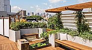 7 Effective Ways to Transforming Your Terrace into a Lush Garden