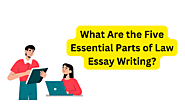  What Are the Five Essential Parts of Law Essay Writing?