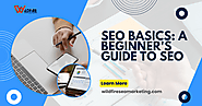 SEO Basics: A Beginner's Guide to SEO