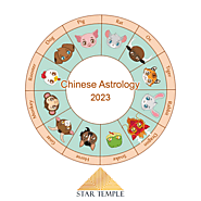 Chinese Astrology for 2023: The Year of the Rabbit, Bringer of Luck and Prosperity!