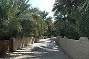 Discover Al Ain Oasis