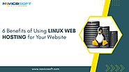6 Benefits of Using Linux Web Hosting for Your Website -